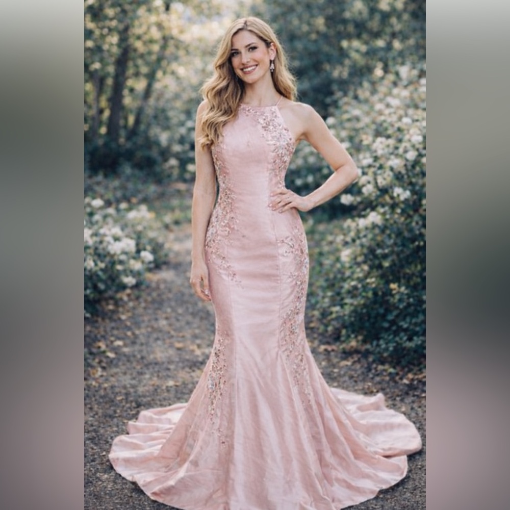NEW Madison James Blush Pink Dress Sz 8 Floral Embroidered Floral Prom Wedding - Picture 2 of 16